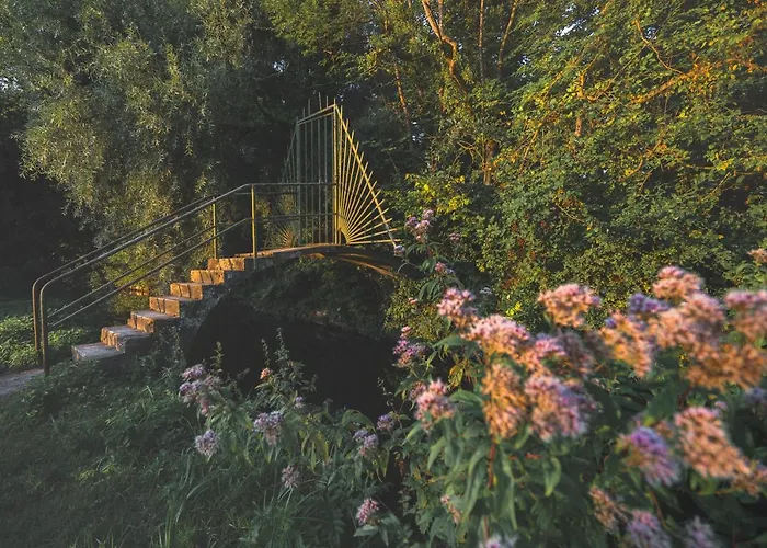 Les Hortillonnages_b&b Inn_centre Ville_terrasse_wifi_netflix 아미앵